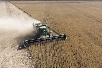 El Gobierno anunció una nueva baja de retenciones para el campo