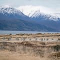 El Gobierno autorizó una licitación para obras en la Base Naval de Ushuaia
