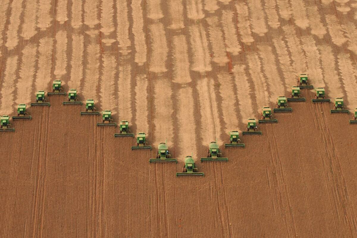 El gobierno brasileño pidió la revisión de la medida antideforestación de la Unión Europea