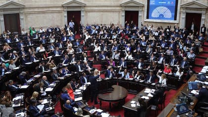 El gobierno busca aprobar el proyecto que ya recibió con media sanción del Senado