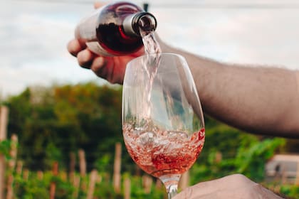 El Gobierno busca consenso con el sector vitivinícola tras la desregulación