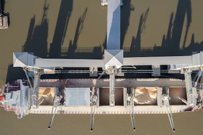 El Gobierno busca subir las retenciones a la harina y el aceite de soja de 31 a 33% para igualarlas con el poroto