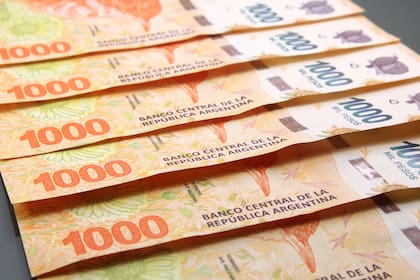 El Gobierno, cubierto en gran parte con los pesos que emite el BCRA para financiarlo, moderó las colocaciones de deuda en julio