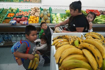 El gobierno de EE.UU. pagará el 65% del monto a las familias durante noviembre