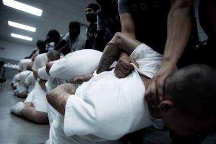 El gobierno de El Salvador publicó fotos de cómo fueron tratados los venezolanos deportados de EE.UU.