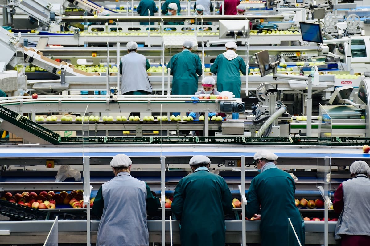 El gobierno de Estados Unidos permite que algunos trabajadores soliciten permisos temporales