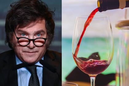 El gobierno de Javier Milei facilitó las importaciones de alimentos