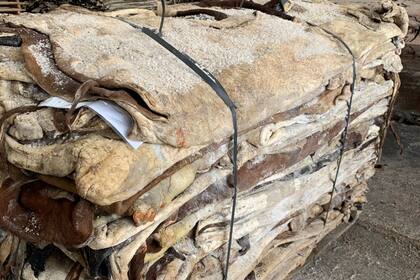 El gobierno de Milei derogó una norma de Menem que apuntaba a aplicar derechos de exportación a los cueros