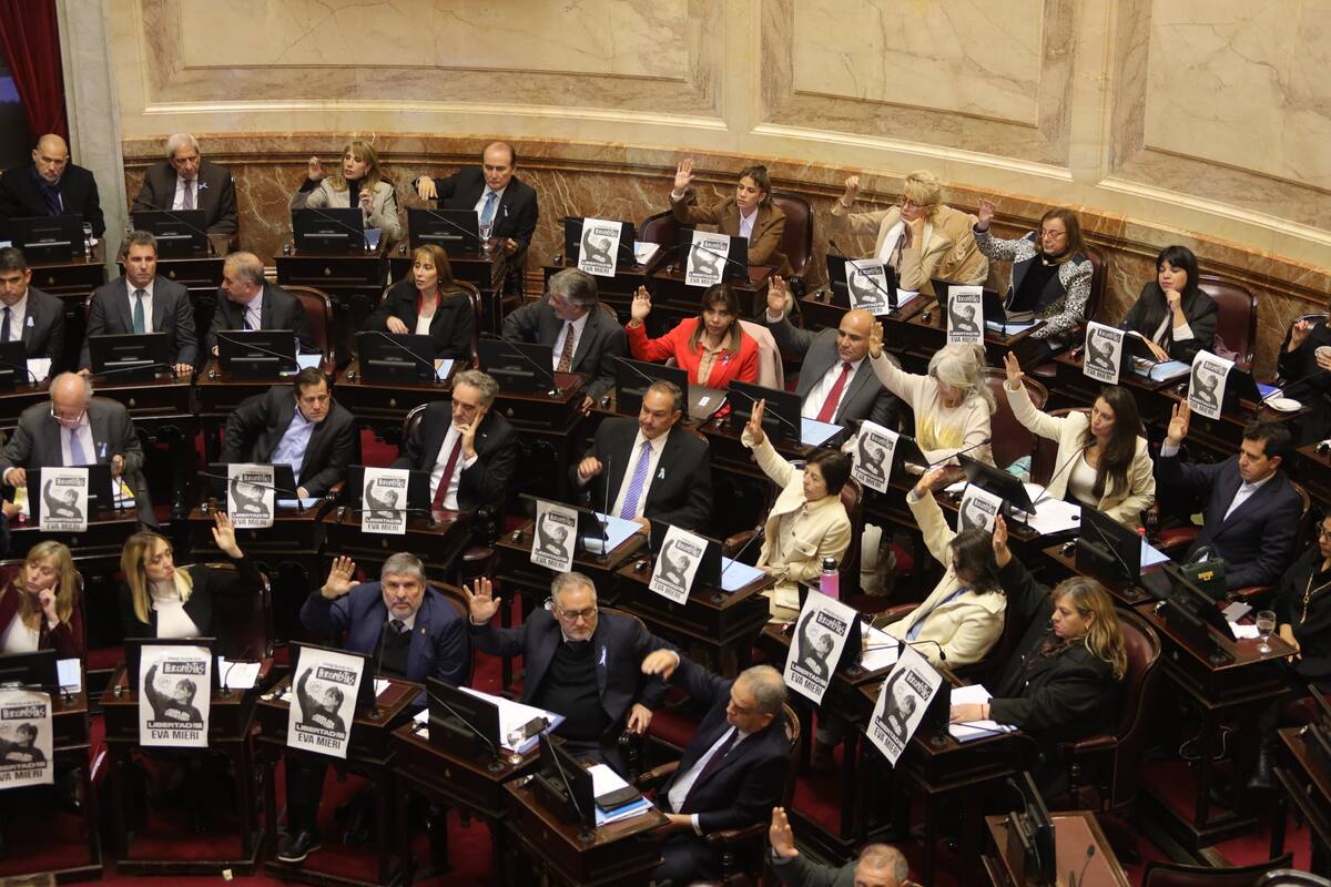 El gobierno de Milei sufrió un duro revés en el Senado el jueves último