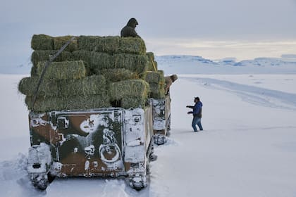 El Gobierno declaró la emergencia agropecuaria en la provincia de Santa Cruz, algunos departamentos de Chubut y Río Negro