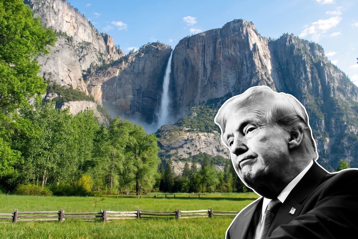 El gobierno del presidente Donald Trump lleva adelante un plan para ceder una parcela del Parque Yosemite, en California, a un promotor privado