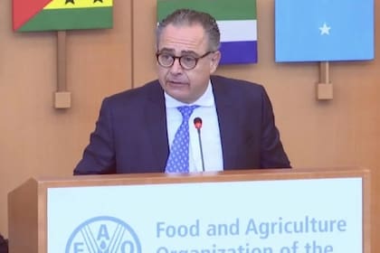 El Gobierno designó a Carlos Cherniak como representante de la Argentina ante la OEA en reemplazo de Sonia Cavallo