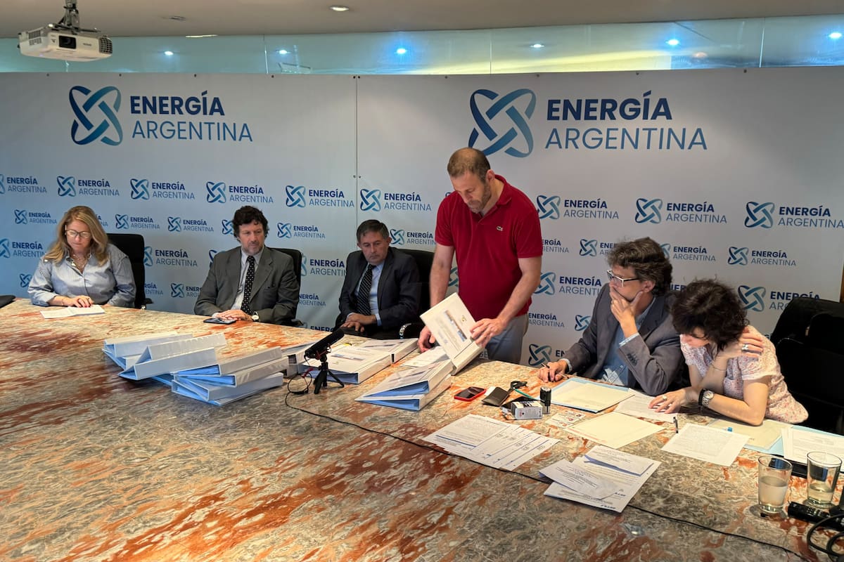 El Gobierno dio inicio al proceso de privatización de Enarsa