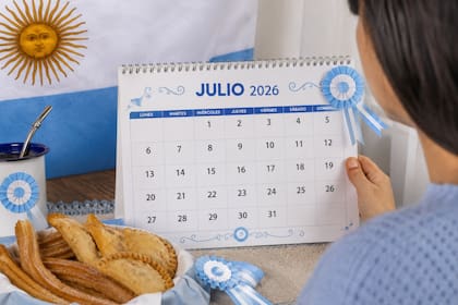 El Gobierno evalúa decretar asueto en la administración pública nacional para celebrar la llegada de los jugadores de la selección argentina tras la final de este domingo contra España