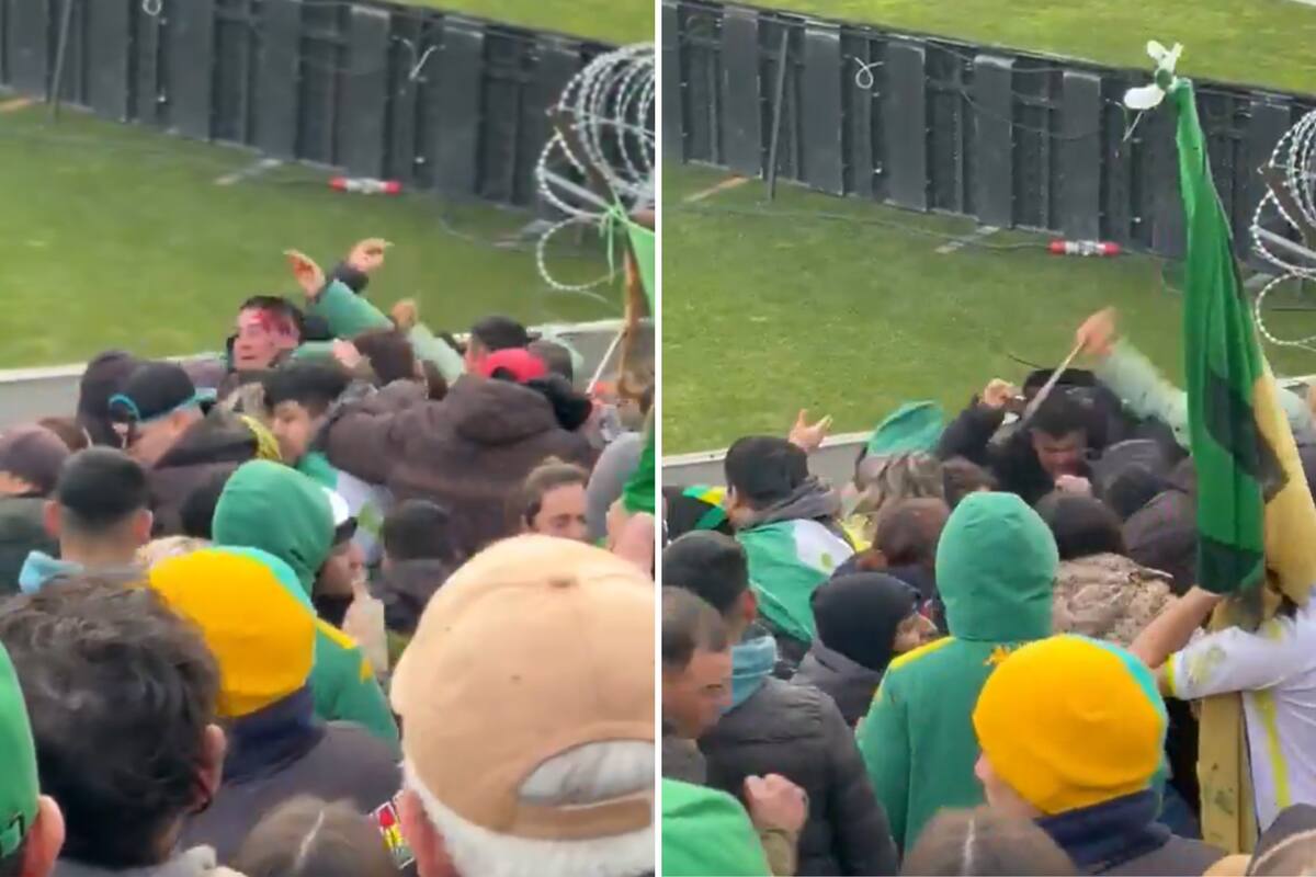 El Gobierno le prohibió el ingreso a las canchas a los hinchas de Aldosivi que se pelearon a cuchillazos en pleno partido