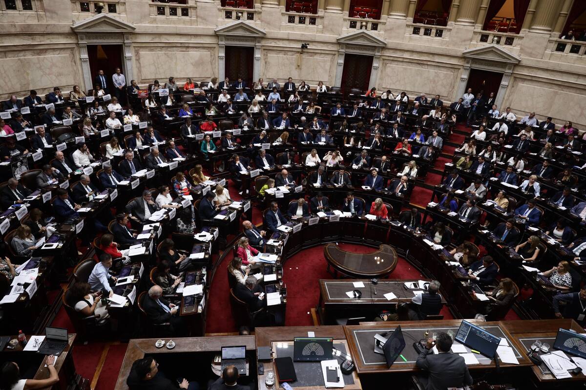 El Gobierno logró la media sanción del presupuesto, pero no pudo derogar la ley de discapacidad y el financiamiento universitario.