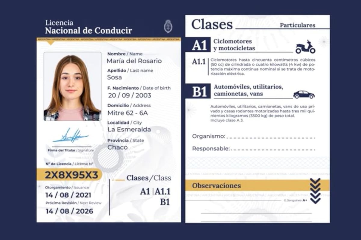 El Gobierno modificó algunas cuestiones de la licencia de conducir este año