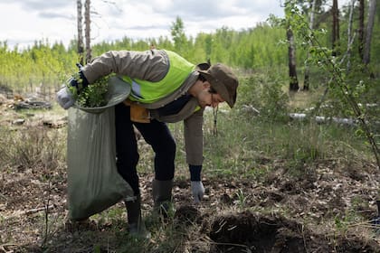 El Gobierno nacional presentó este martes el informe final del Consejo de Mayo que incluye una reforma en las explotaciones naturales del país