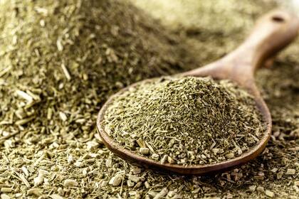 El Gobierno sacó al INYM la potestad para fijar precios de la yerba y ahora terminó con el límite a las nuevas plantaciones