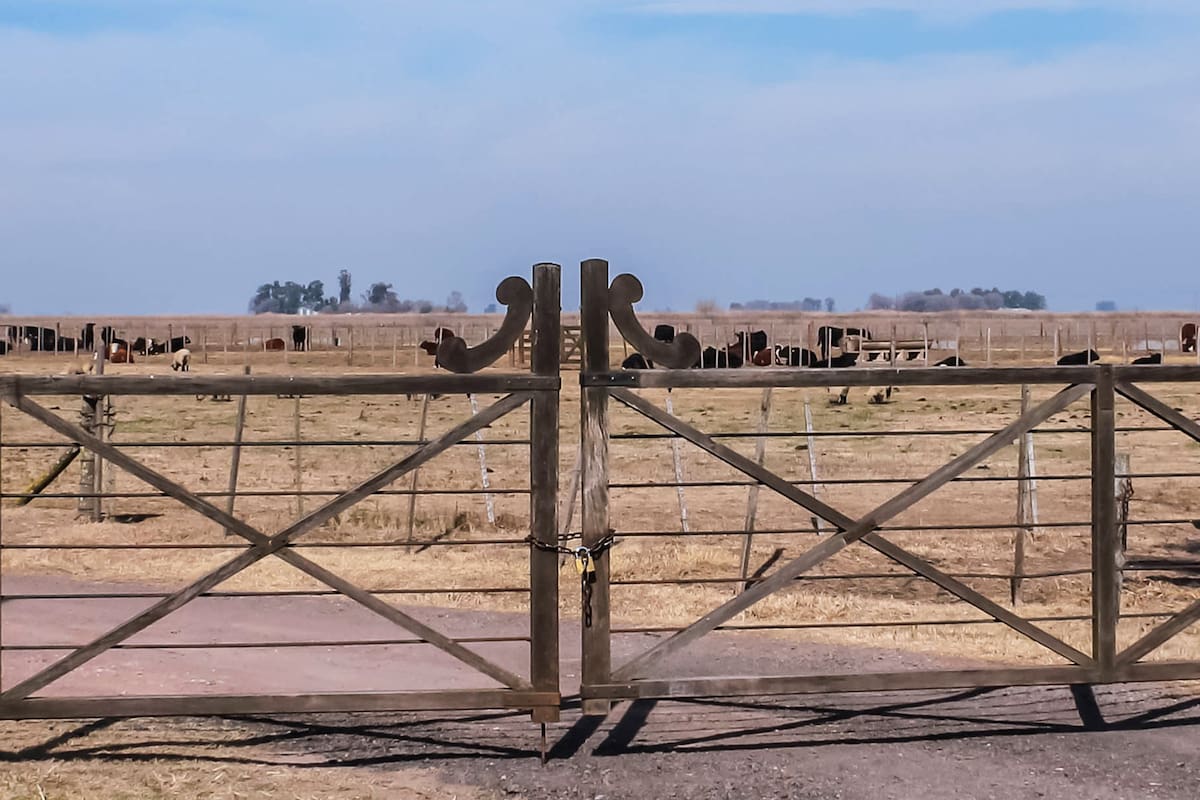 El Gobierno se propone derogar las restricciones a la compra de tierras rurales por parte de extranjeros