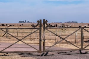 Tierras rurales: una reforma para cerrar un ciclo