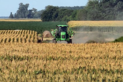 El Gobierno suspenderá la baja parcial de retenciones a la soja
