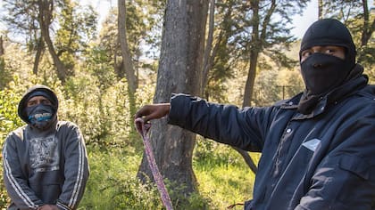 El Gobierno teme una "escalada" de ataques mapuches