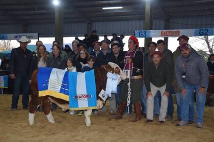 El Gran Campeón Ternero