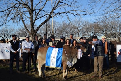 El Gran Campeón Hembra