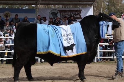 El Gran Campeón de la Exposición Rural de Huinca Renancó 2023