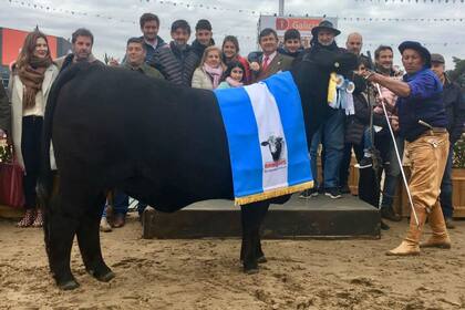 El Gran Campeón Hembra Brangus. La Sultana-Capil SA y Las Lajitas SA