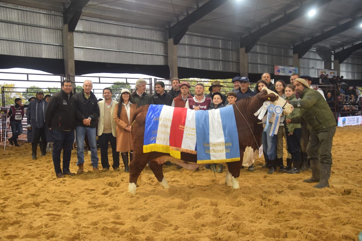 El Gran Campeón Hembra Braford, de Cabaña Jagüel Pampa