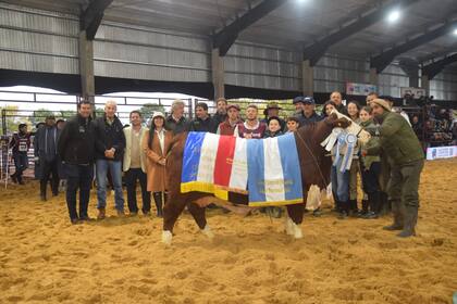 El Gran Campeón Hembra Braford, de Cabaña Jagüel Pampa