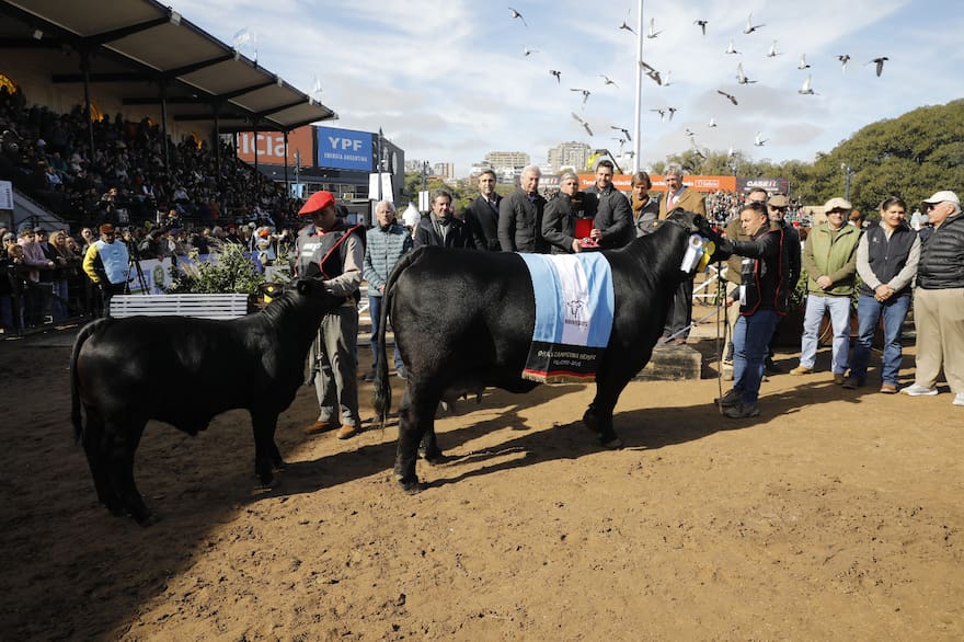 Una Brangus de Corral de Guardia fue elegida Gran Campeón Hembra en Palermo por su funcionalidad y genética