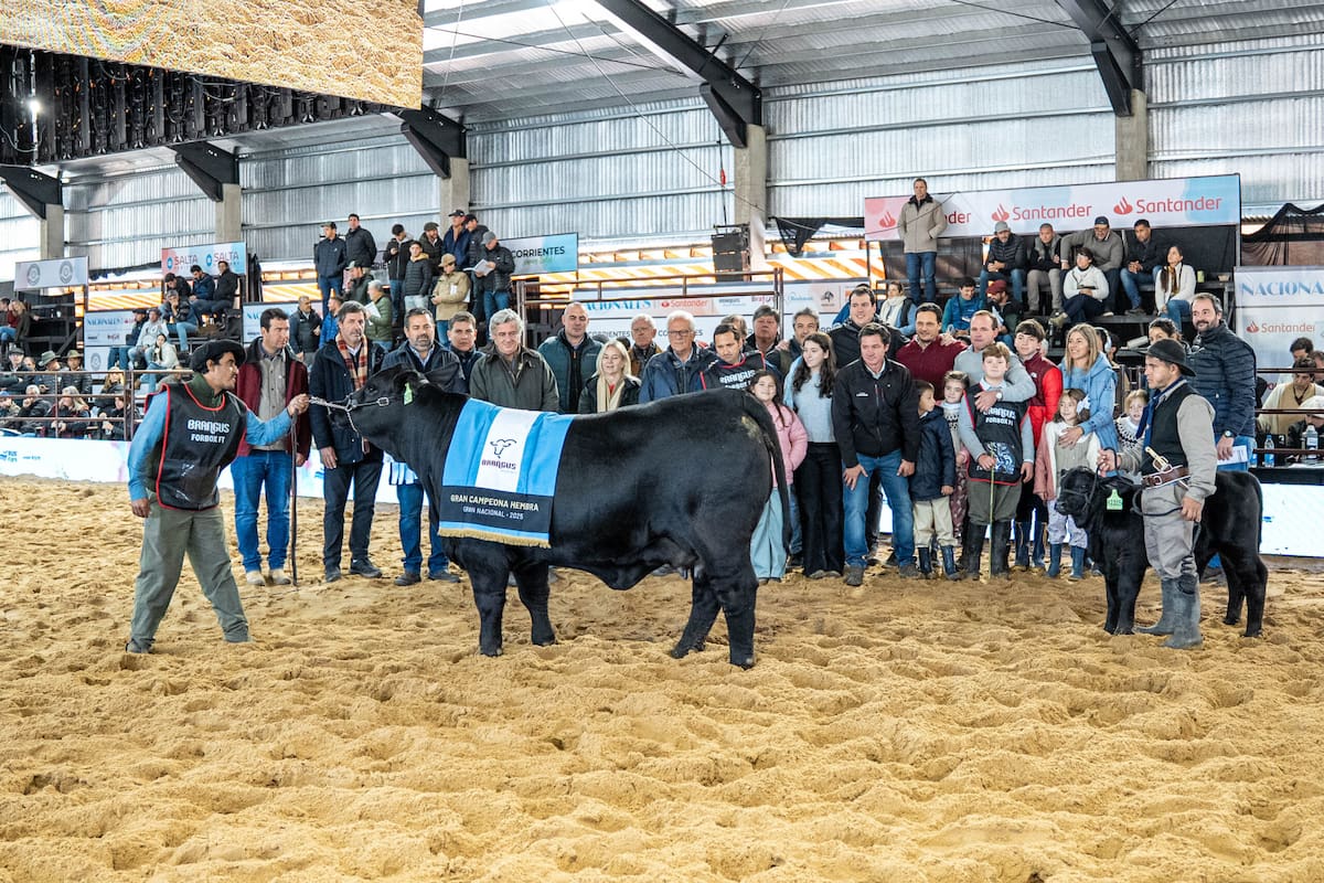 El Gran Campeón Hembra, de El Impenetrable, en copropiedad con Agromelú del Norte, Tres Cruces, Manuel Molejón y Martín Montiel