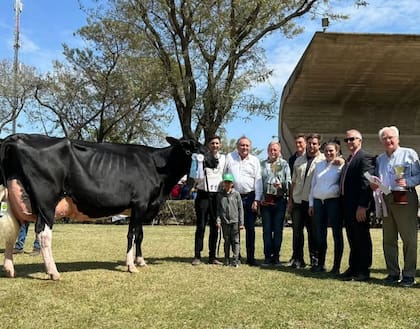 El Gran Campeón Hembra de la raza en la Fiesta Nacional del Holando Argentino