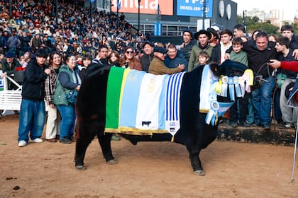 El Gran Campeón Macho Angus de la familia en Palermo