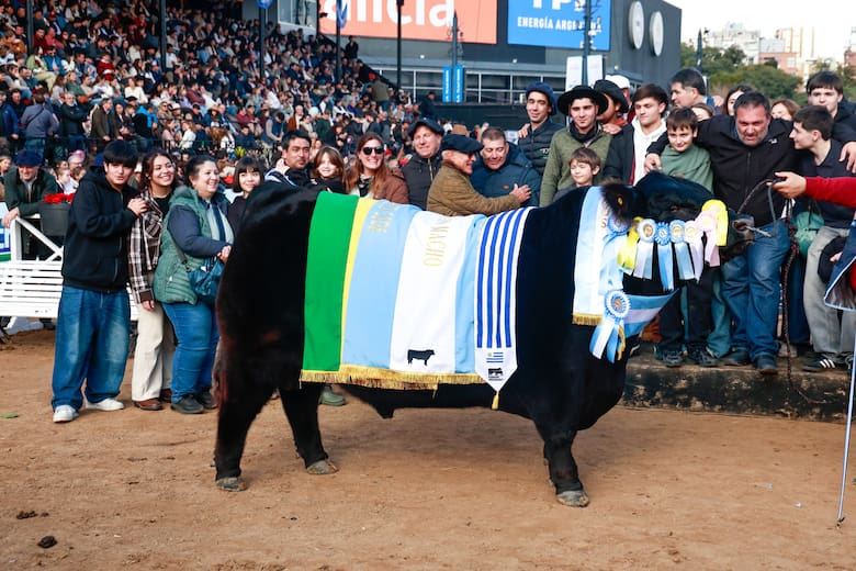 De campos difíciles al Gran Campeón Macho Angus en Palermo