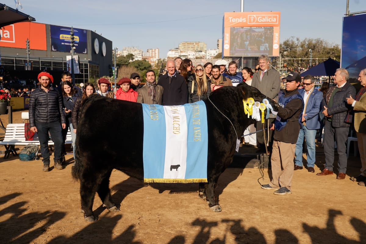 El Gran Campeón Macho Angus fue para la cabaña Arandú SA, de Federico Vizzolini