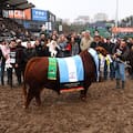 Una cabaña cordobesa logró un histórico doblete y ganó los dos grandes campeonatos de Brangus