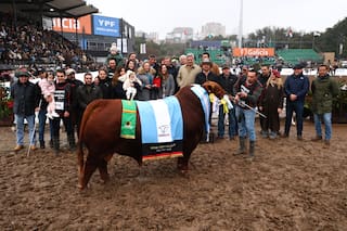 Una cabaña cordobesa logró un histórico doblete y ganó los dos grandes campeonatos de Brangus