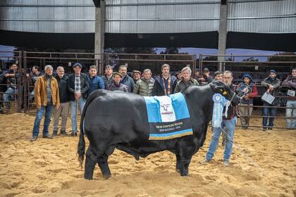 El Gran Campeón Macho, de Cabaña La Morocha
