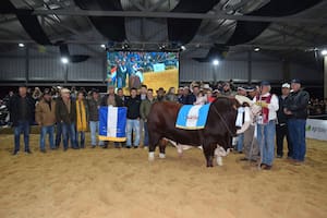 El Gran Campeón Macho de la muestra