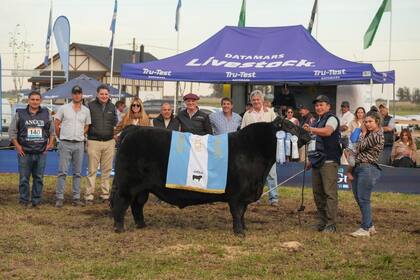 El Gran Campeón Macho, de La Alianza