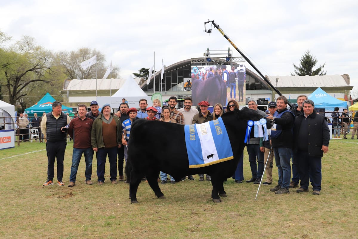 El Gran Campeón Macho de la Nacional de Primavera fue para la cabaña Arandú, de Federico Vizzolini
