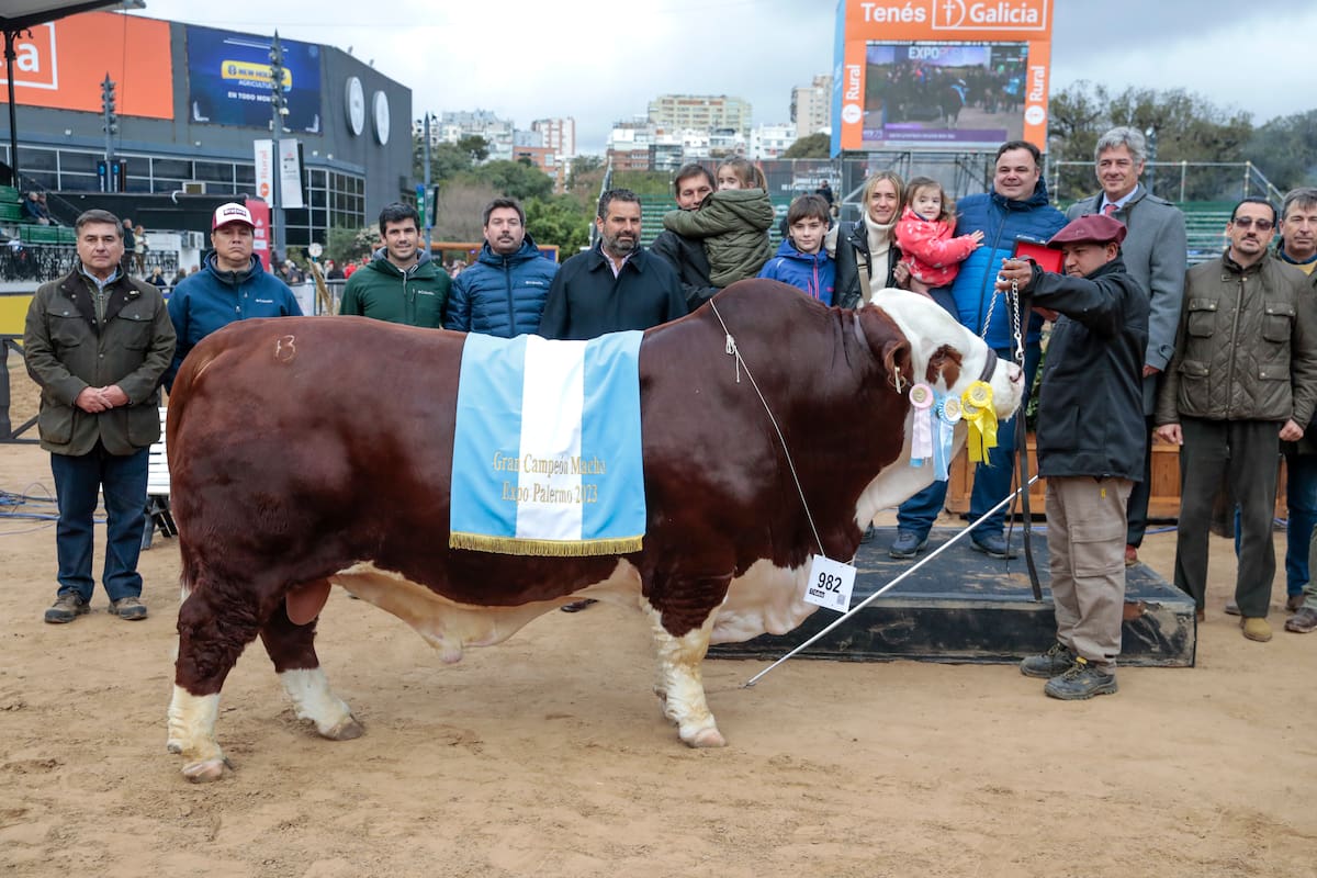 El Gran Campeón Macho de la raza Braford fue para el box 982, de la cabaña La Dominga