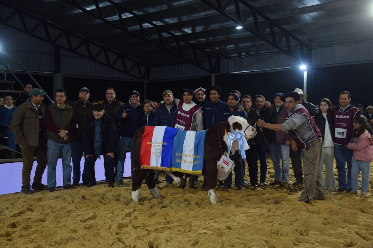 El Gran Campeón Ternero fue para el box 105, de cabaña Santa Irene de Ganagrin, un hijo de “Mago”