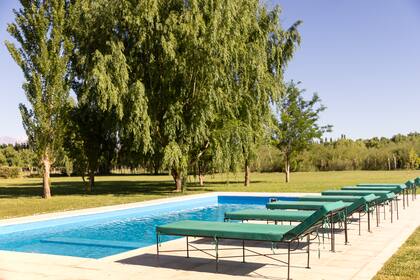 El gran parque y la piscina para disfrutar de los días de calor sanjuanino