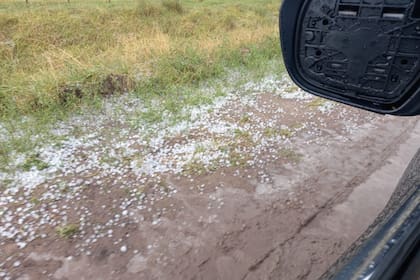 El granizo afectó varios campos de la zona