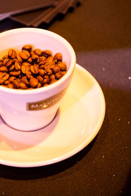 El grano debe ser molido en función de cómo se preparará el café